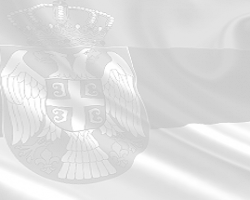 Provera kompetencija zaposlenih na određeno vreme